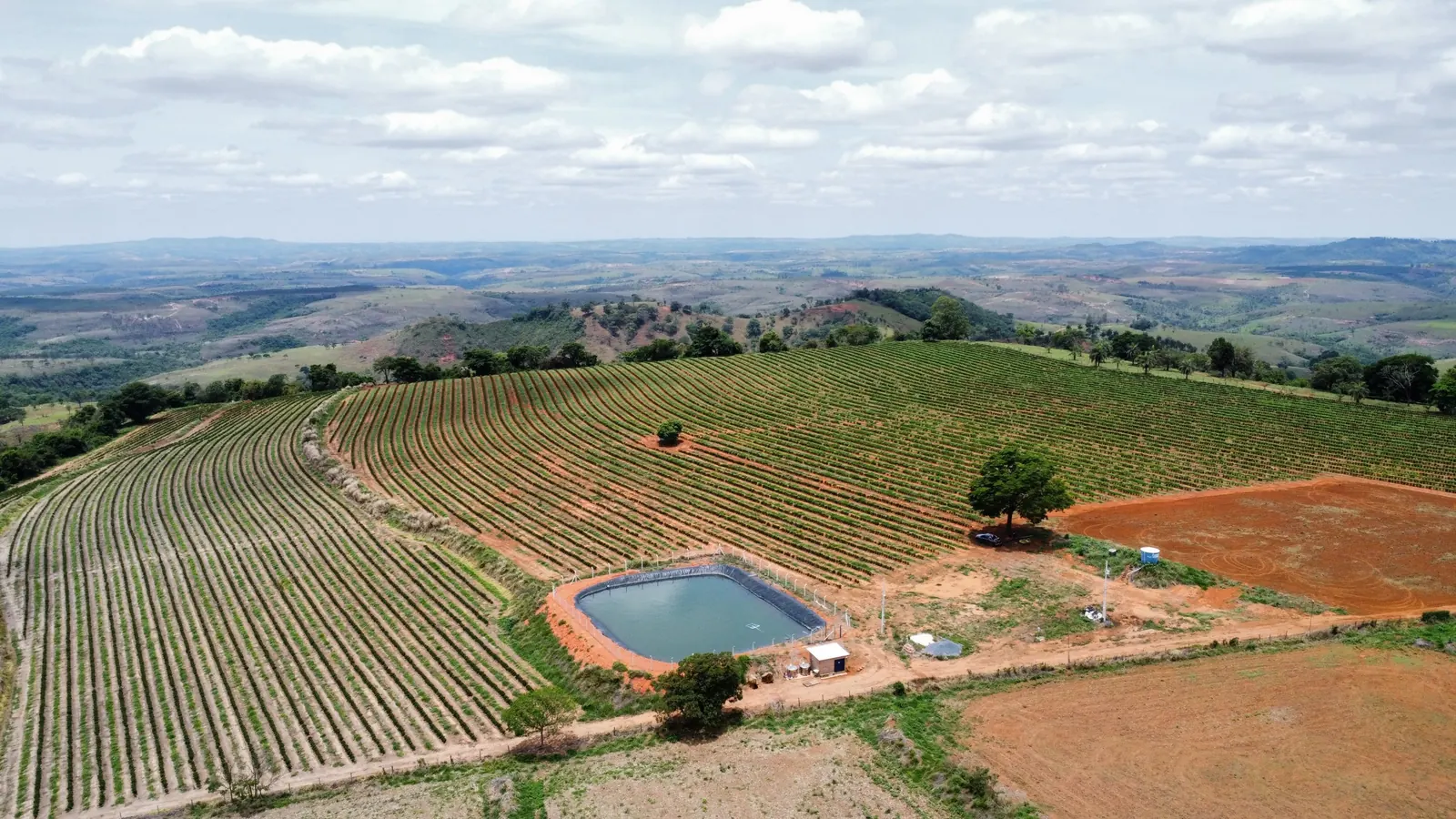 Reservatório de água e lavouras de café